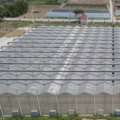JX-A006 Serre in policarbonato di grandi dimensioni per uso commerciale e agricolo