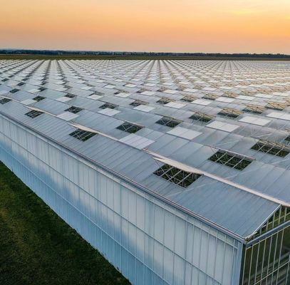 Trasforma la tua esperienza agricola con il sistema idroponico pomodoro cetriolo cetriolo