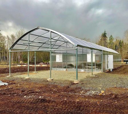 Serra in vetro Venlo multi-span con sistema idroponico Cocopeat e personalizzazione