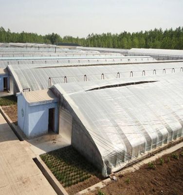 1209.00cm * 235.00cm * 239.00cm Tomato e cetriolo piantare serra a luce solare per il vostro