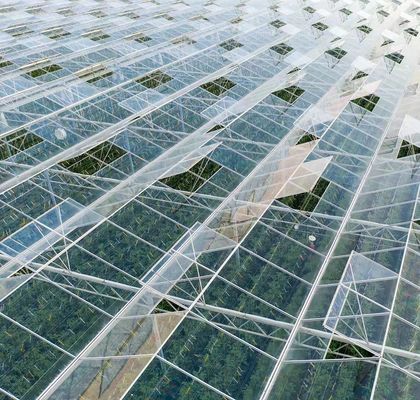Metodo di coltivazione idroponica riscaldamento commerciale giardino serra di vetro per le piante
