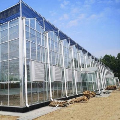 Richiesta personalizzata per impianto di serra commerciale di vetro per irrigazione a goccia
