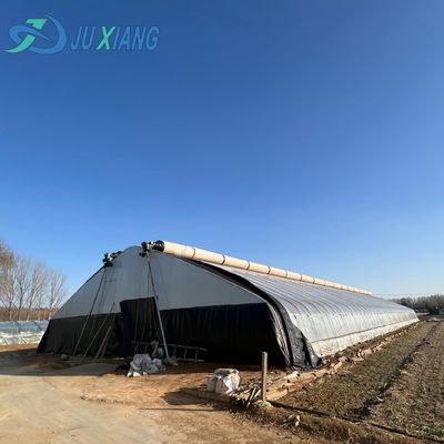 Sistema di coltivazione idroponica per l'agricoltura su larga scala in serre di grandi dimensioni JX-A004