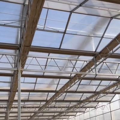 JX-A006 Serre in policarbonato di grandi dimensioni per uso commerciale e agricolo