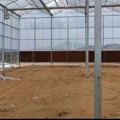 JX-A006 Serre in policarbonato di grandi dimensioni per uso commerciale e agricolo