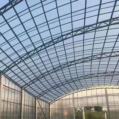 JX-A006 Serre in policarbonato di grandi dimensioni per uso commerciale e agricolo