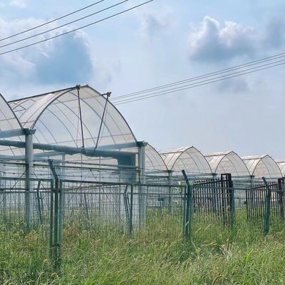Serra a luce solare a doppio arco con vibratore per neve resistente alle intemperie