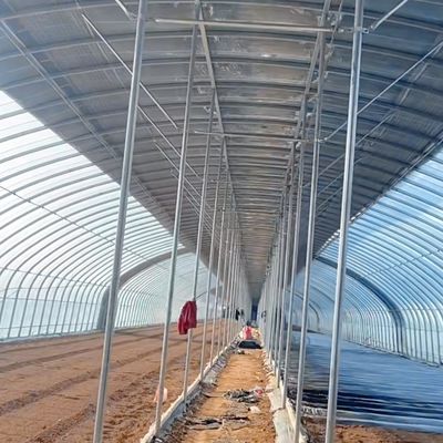 Serra commerciale a pellicola di galleria a lunghezza singola con garanzia di restituzione di 30 giorni