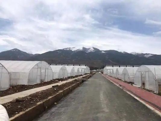 20.000kg Pacchetto Peso lordo Copertura con pellicola tubi d'acqua Soluzione idroponica in serra