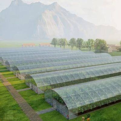 Restituzione di 30 giorni Rimborsi Serra Sistema idroponico Tonnello agricolo Serre USA