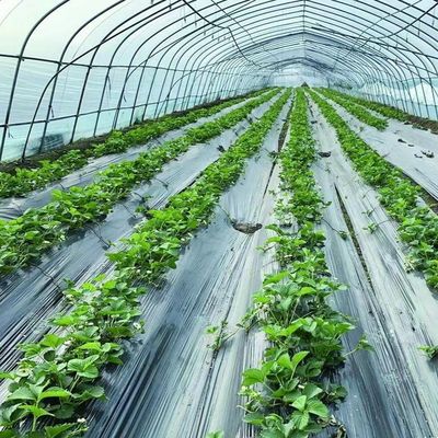 Restituzione di 30 giorni Rimborsi Serra Sistema idroponico Tonnello agricolo Serre USA