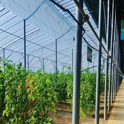 PE Film Plastic Agricoltura Soluzione serra Pacchetto Dimensione 50,00cm * 60,00cm * 50,00cm