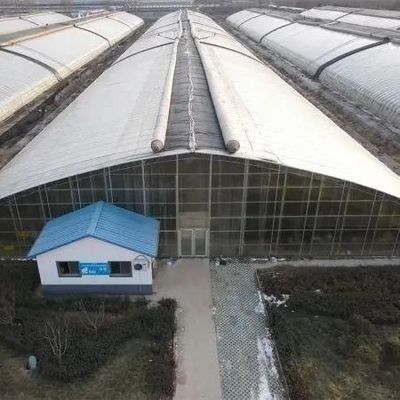 PE Film Plastic Agricoltura Soluzione serra Pacchetto Dimensione 50,00cm * 60,00cm * 50,00cm