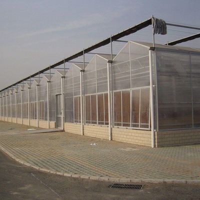 Origine Sistema di serra eco con materiale di copertura a pellicola 20.000 kg Peso lordo del pacchetto