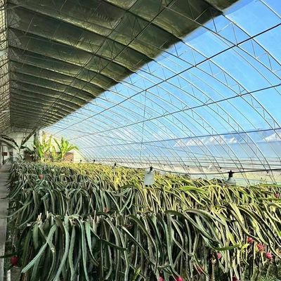Origine Sistema di serra eco con materiale di copertura a pellicola 20.000 kg Peso lordo del pacchetto