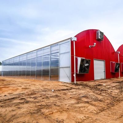 Origine Sistema di serra eco con materiale di copertura a pellicola 20.000 kg Peso lordo del pacchetto