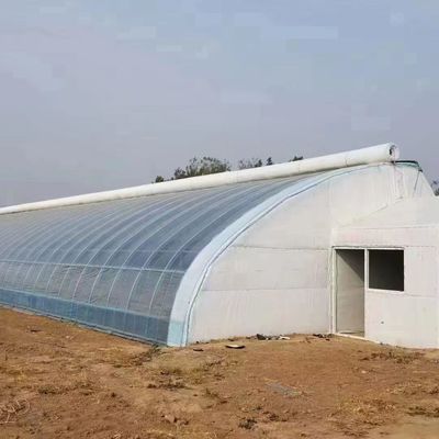 Origine Sistema di serra eco con materiale di copertura a pellicola 20.000 kg Peso lordo del pacchetto
