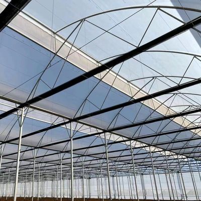 Origine Sistema di serra eco con materiale di copertura a pellicola 20.000 kg Peso lordo del pacchetto