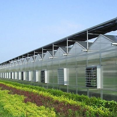 Origine Sistema di serra eco con materiale di copertura a pellicola 20.000 kg Peso lordo del pacchetto