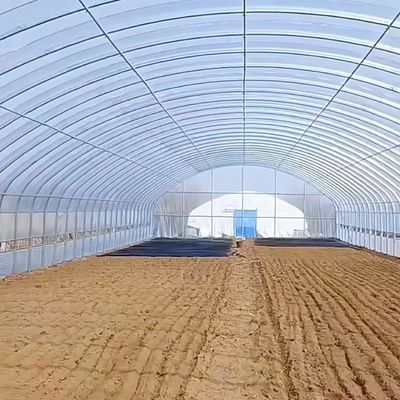 Polytunnel Tunnel di plastica Single Span serra agricola su richiesta personalizzata