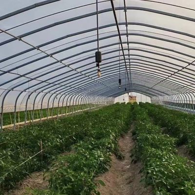 Polytunnel Tunnel di plastica Single Span serra agricola su richiesta personalizzata