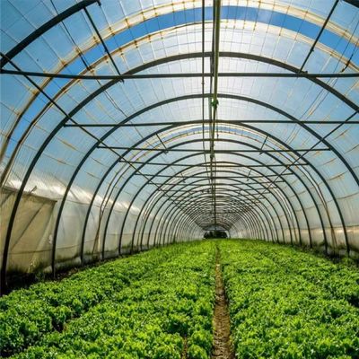 Polytunnel Tunnel di plastica Single Span serra agricola su richiesta personalizzata