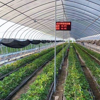 Polytunnel Tunnel di plastica Single Span serra agricola su richiesta personalizzata