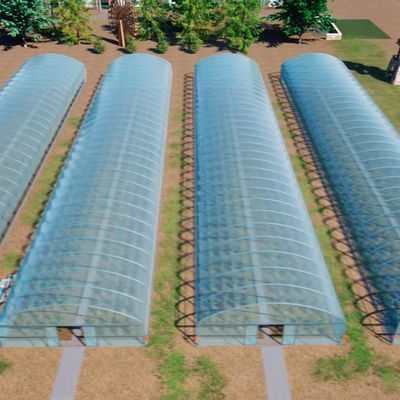 Polytunnel Tunnel di plastica Single Span serra agricola su richiesta personalizzata