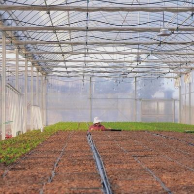 Sistema di irrigazione a goccia Eco serra sui costi di spedizione e tempi di consegna stimati