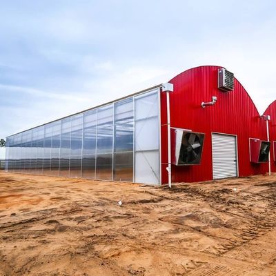Sistema di irrigazione a goccia Eco serra sui costi di spedizione e tempi di consegna stimati