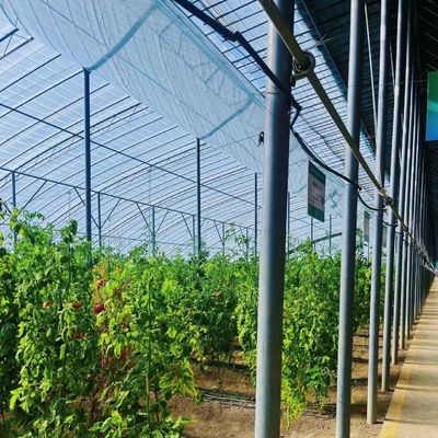 Sistema di irrigazione a goccia Eco serra sui costi di spedizione e tempi di consegna stimati