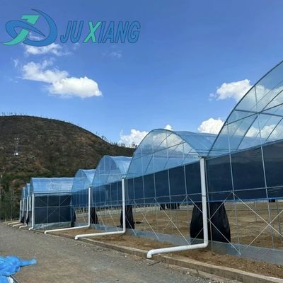 Costo di spedizione Film di galleria in plastica ad ampia durata per l'agricoltura Personalizzazione in serra