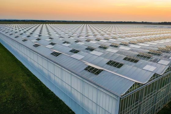 Costo di spedizione Film di galleria in plastica ad ampia durata per l'agricoltura Personalizzazione in serra