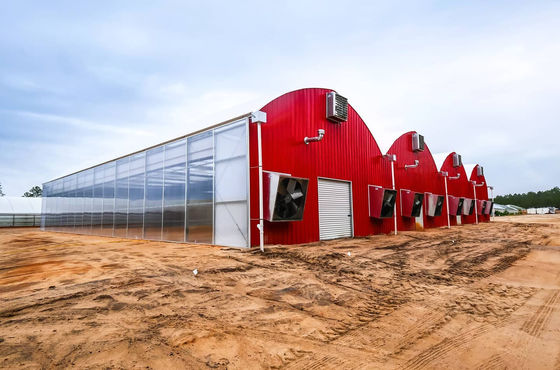 Costo di spedizione Film di galleria in plastica ad ampia durata per l'agricoltura Personalizzazione in serra