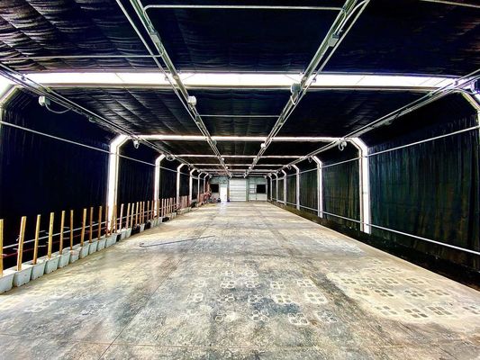 Costo di spedizione Film di galleria in plastica ad ampia durata per l'agricoltura Personalizzazione in serra