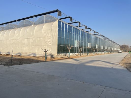 Tecnologia doppio strato agricolo pellicola di plastica idroponica serre per l'acquacoltura