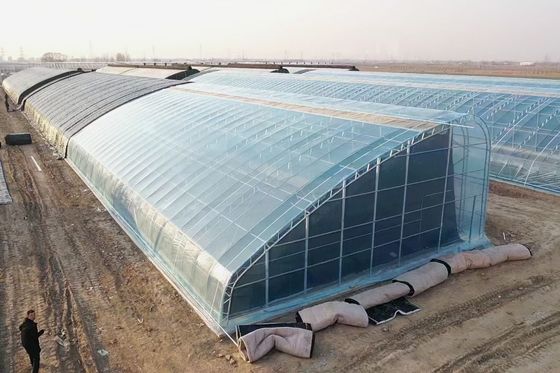 Tecnologia doppio strato agricolo pellicola di plastica idroponica serre per l'acquacoltura