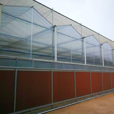 Serre multispan con tecnologia e materiali idroponici