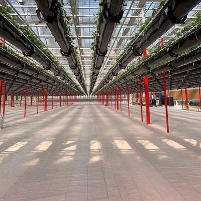Serre multispan con tecnologia e materiali idroponici