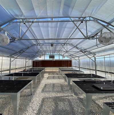 Serre multispan con tecnologia e materiali idroponici