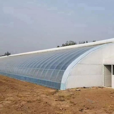 Multi Span PVC Pipe Eco serra a prezzo accessibile