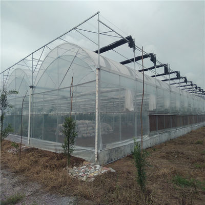 Multi Span PVC Pipe Eco serra a prezzo accessibile