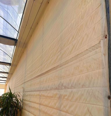 Multi Span PVC Pipe Eco serra a prezzo accessibile