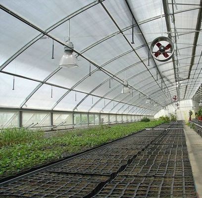 Multi Span PVC Pipe Eco serra a prezzo accessibile
