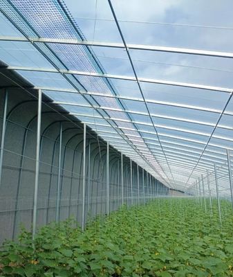 20.000kg Pacchetto Peso lordo Multi Span Pomodoro Zucchero Fragole In serra