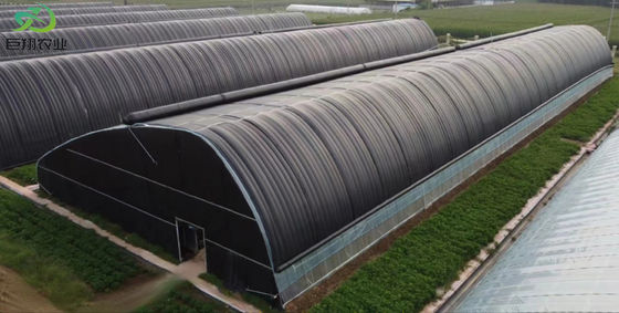 20.000kg Pacchetto Peso lordo Multi Span Pomodoro Zucchero Fragole In serra