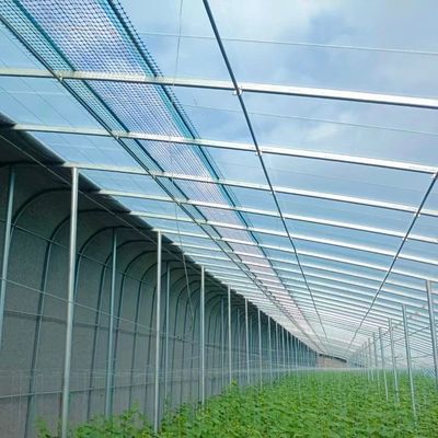 US Agricultural Multi Span Tunnel Plastic Film Greenhouses con sistema idroponico
