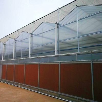 US Agricultural Multi Span Tunnel Plastic Film Greenhouses con sistema idroponico
