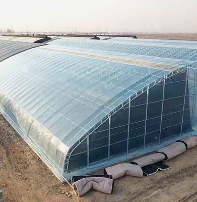 US Agricultural Multi Span Tunnel Plastic Film Greenhouses con sistema idroponico