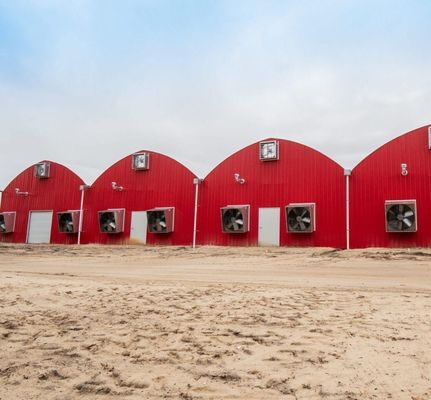 US Agricultural Multi Span Tunnel Plastic Film Greenhouses con sistema idroponico